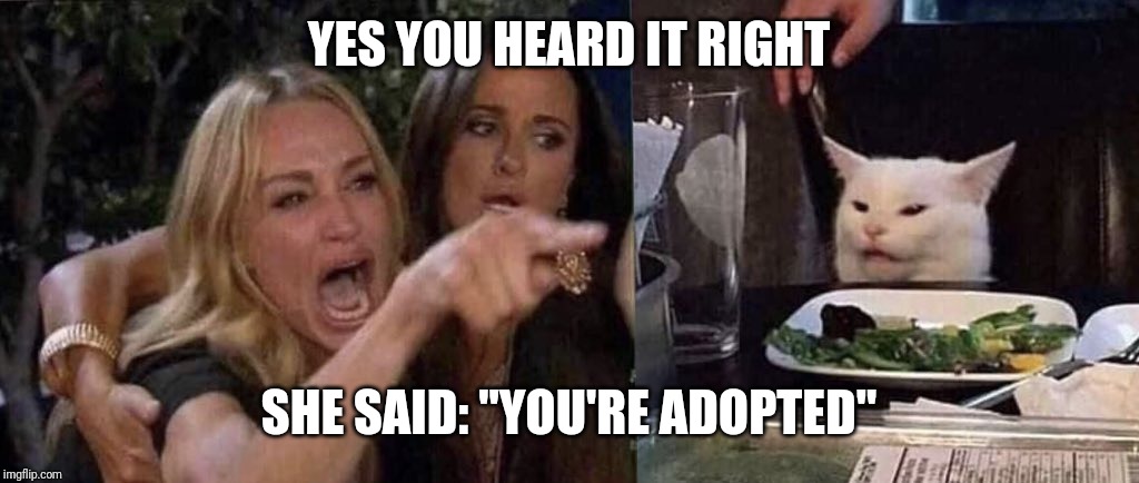 woman yelling at cat | YES YOU HEARD IT RIGHT SHE SAID: "YOU'RE ADOPTED" | image tagged in woman yelling at cat | made w/ Imgflip meme maker