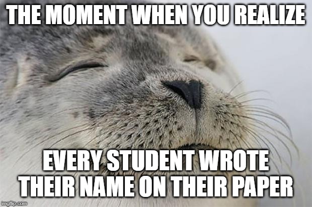 Satisfied Seal | THE MOMENT WHEN YOU REALIZE; EVERY STUDENT WROTE THEIR NAME ON THEIR PAPER | image tagged in memes,satisfied seal | made w/ Imgflip meme maker
