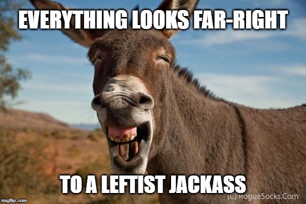 Donkey Jackass Braying | EVERYTHING LOOKS FAR-RIGHT; TO A LEFTIST JACKASS | image tagged in donkey jackass braying | made w/ Imgflip meme maker
