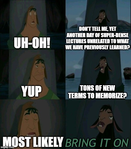 Emperor's New Groove Waterfall  | DON'T TELL ME, YET ANOTHER DAY OF SUPER-DENSE LECTURES UNRELATED TO WHAT WE HAVE PREVIOUSLY LEARNED? UH-OH! TONS OF NEW TERMS TO MEMORIZE? YUP; MOST LIKELY; BRING IT ON | image tagged in emperor's new groove waterfall | made w/ Imgflip meme maker