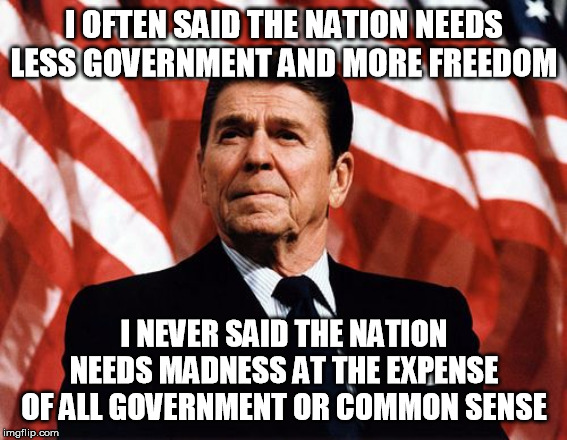 Reasonable Reagan | I OFTEN SAID THE NATION NEEDS LESS GOVERNMENT AND MORE FREEDOM; I NEVER SAID THE NATION NEEDS MADNESS AT THE EXPENSE OF ALL GOVERNMENT OR COMMON SENSE | image tagged in reasonable reagan,ronald reagan,government,freedom | made w/ Imgflip meme maker