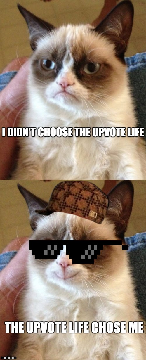 THUG LIFE! | I DIDN'T CHOOSE THE UPVOTE LIFE; THE UPVOTE LIFE CHOSE ME | image tagged in memes,grumpy cat,grumpy cat happy,thug life,funny memes,lol | made w/ Imgflip meme maker
