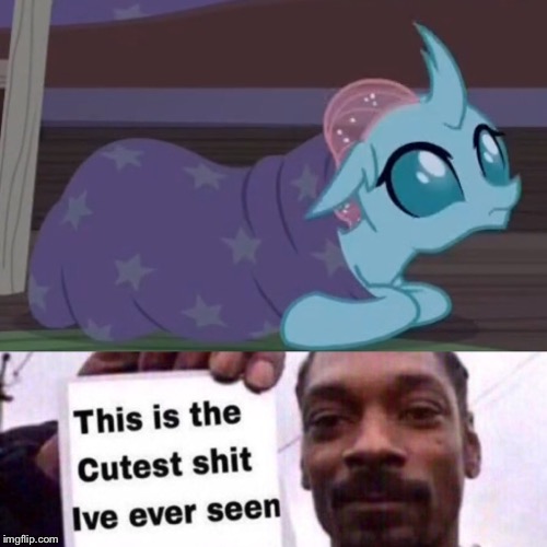 image tagged in snoop dogg,mlp fim,cute | made w/ Imgflip meme maker