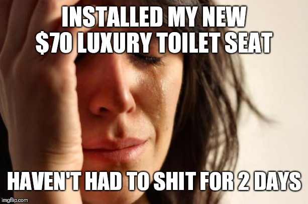 First World Problems Meme | INSTALLED MY NEW $70 LUXURY TOILET SEAT; HAVEN'T HAD TO SHIT FOR 2 DAYS | image tagged in memes,first world problems,AdviceAnimals | made w/ Imgflip meme maker