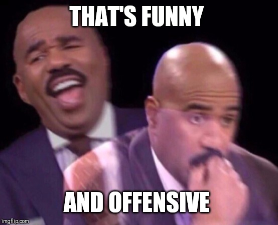 Steve Harvey Laughing Serious | THAT'S FUNNY AND OFFENSIVE | image tagged in steve harvey laughing serious | made w/ Imgflip meme maker