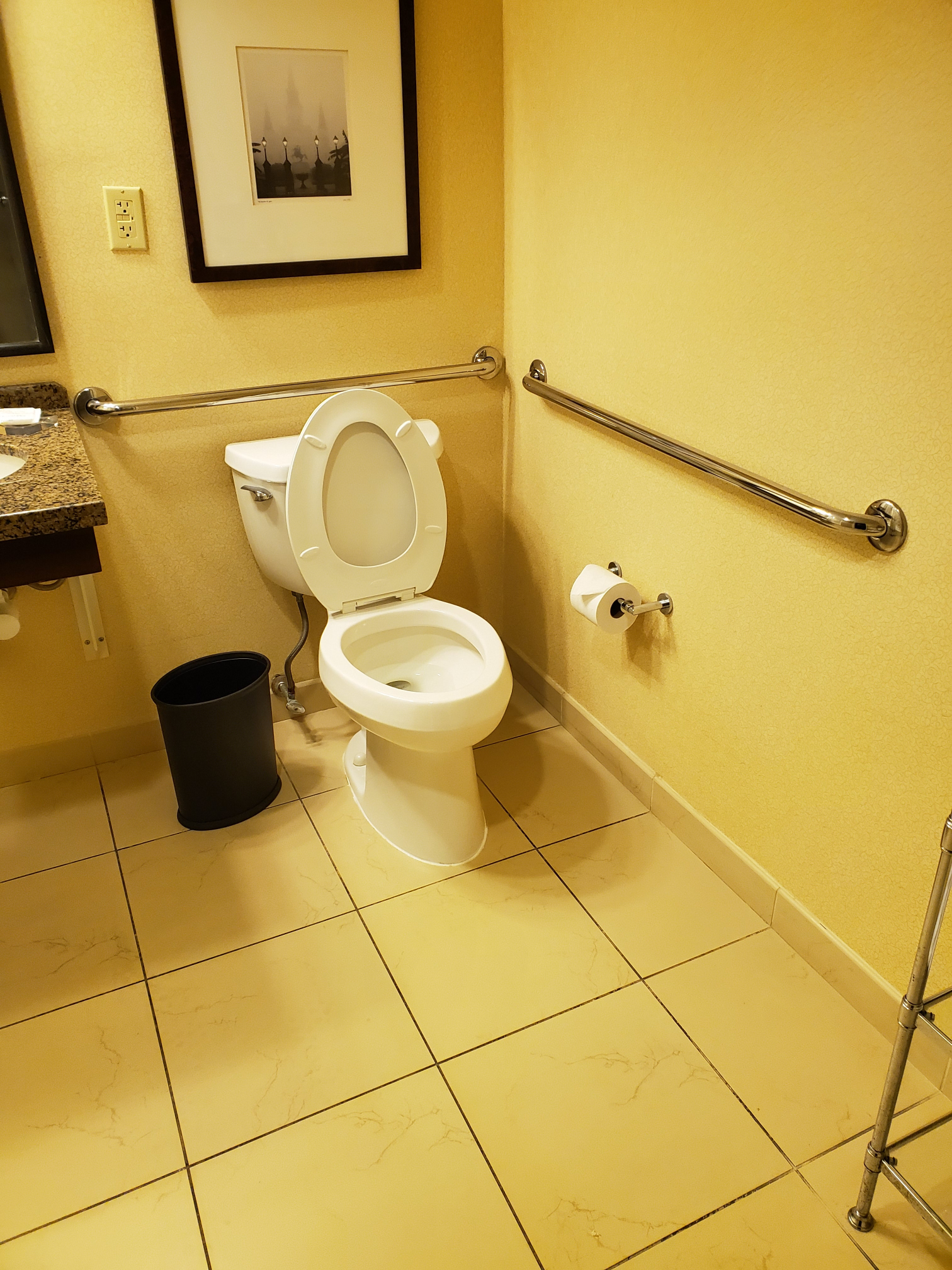 Accessable turlet Blank Meme Template