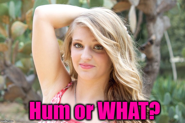 Hum or WHAT? | made w/ Imgflip meme maker