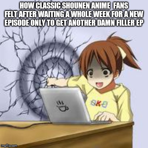 Anime wall punch | HOW CLASSIC SHOUNEN ANIME  FANS FELT AFTER WAITING A WHOLE WEEK FOR A NEW EPISODE ONLY TO GET ANOTHER DAMN FILLER EP | image tagged in anime wall punch | made w/ Imgflip meme maker