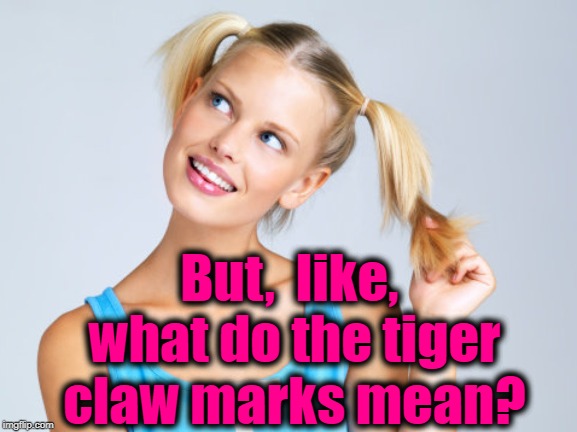 But,  like,  what do the tiger claw marks mean? | made w/ Imgflip meme maker