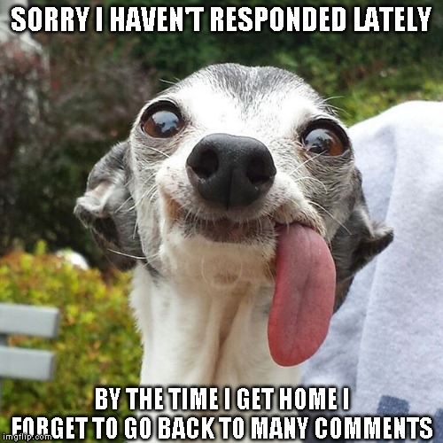 Dog tongue | SORRY I HAVEN'T RESPONDED LATELY BY THE TIME I GET HOME I FORGET TO GO BACK TO MANY COMMENTS | image tagged in dog tongue | made w/ Imgflip meme maker