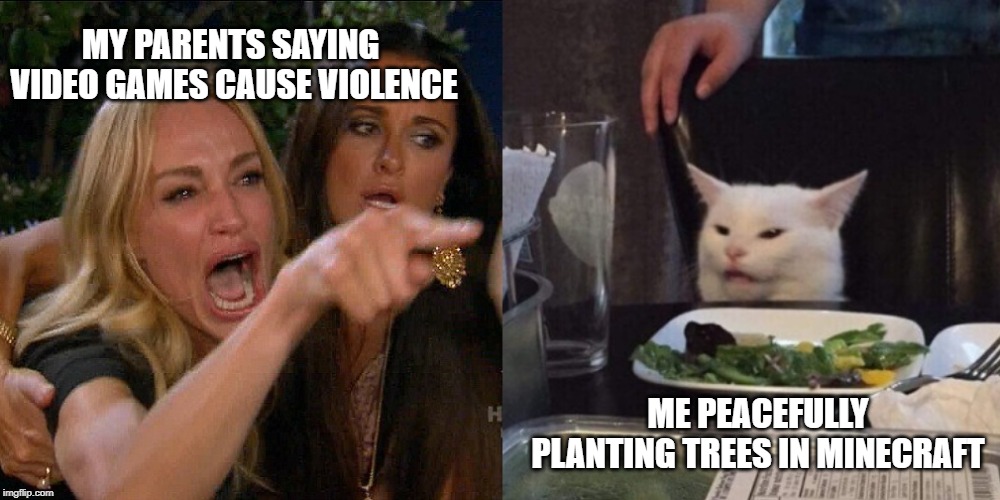 Woman yelling at cat | MY PARENTS SAYING 
VIDEO GAMES CAUSE VIOLENCE; ME PEACEFULLY PLANTING TREES IN MINECRAFT | image tagged in woman yelling at cat | made w/ Imgflip meme maker