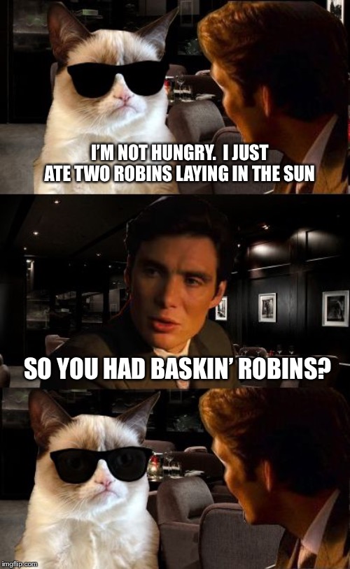 Inception | I’M NOT HUNGRY.  I JUST ATE TWO ROBINS LAYING IN THE SUN; SO YOU HAD BASKIN’ ROBINS? | image tagged in leonardo and grumpy cat,memes | made w/ Imgflip meme maker