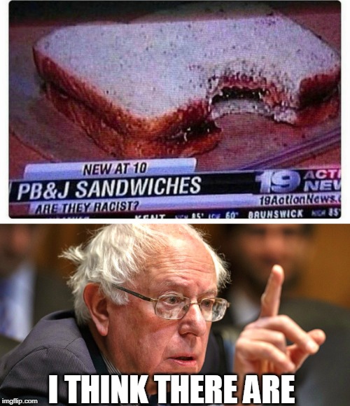 I THINK THERE ARE | image tagged in bernie sanders,racist | made w/ Imgflip meme maker