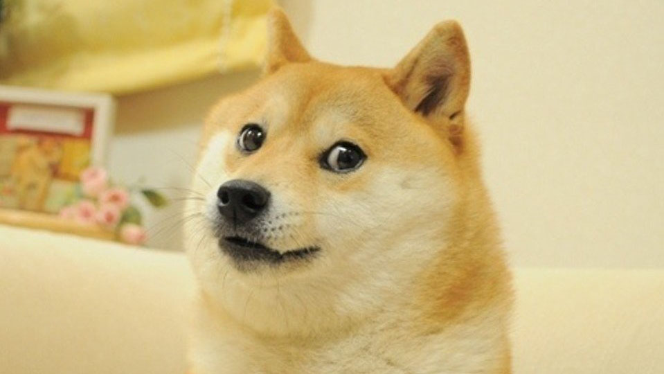 Doge Blank Meme Template