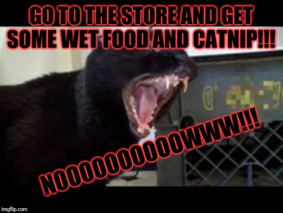 Sylvester the talking kitty cat turns evil and demands wet food and catnip be delivered to him RIGHT HISSIN' MRREEEOOOOOWWWWW!!! | GO TO THE STORE AND GET SOME WET FOOD AND CATNIP!!! NOOOOOOOOOOWWW!!! | image tagged in sylvester the talking kitty cat,memes,cat memes | made w/ Imgflip meme maker