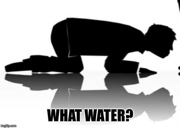 WHAT WATER? | made w/ Imgflip meme maker