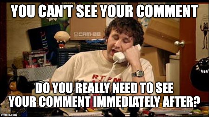Flip myth, you remembered what you just typed. Did you press the refresh button | YOU CAN'T SEE YOUR COMMENT; DO YOU REALLY NEED TO SEE YOUR COMMENT IMMEDIATELY AFTER? | image tagged in it crowd | made w/ Imgflip meme maker