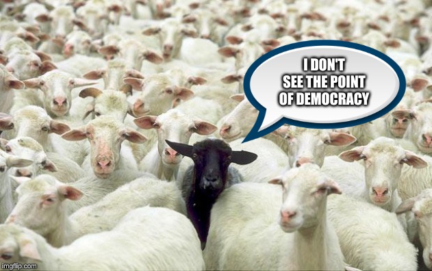 black sheep | I DON'T SEE THE POINT OF DEMOCRACY | image tagged in black sheep | made w/ Imgflip meme maker