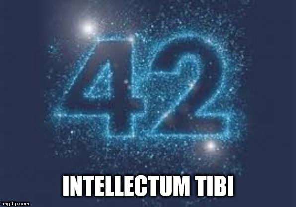 42 | INTELLECTUM TIBI | image tagged in 42 | made w/ Imgflip meme maker