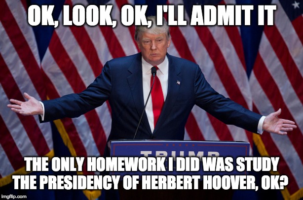 Donald Trump | OK, LOOK, OK, I'LL ADMIT IT; THE ONLY HOMEWORK I DID WAS STUDY THE PRESIDENCY OF HERBERT HOOVER, OK? | image tagged in donald trump | made w/ Imgflip meme maker