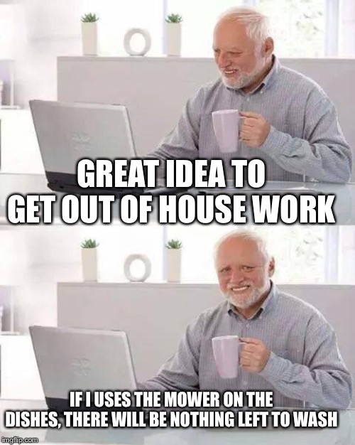 Hide the Pain Harold Meme | GREAT IDEA TO GET OUT OF HOUSE WORK IF I USES THE MOWER ON THE DISHES, THERE WILL BE NOTHING LEFT TO WASH | image tagged in memes,hide the pain harold | made w/ Imgflip meme maker