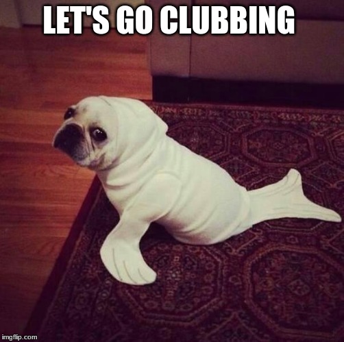 Halloween Dog Seal | LET'S GO CLUBBING | image tagged in halloween dog seal | made w/ Imgflip meme maker
