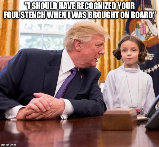 princess leia trump halloween 2017 | "I SHOULD HAVE RECOGNIZED YOUR FOUL STENCH WHEN I WAS BROUGHT ON BOARD" | image tagged in princess leia trump halloween 2017 | made w/ Imgflip meme maker