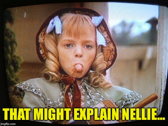THAT MIGHT EXPLAIN NELLIE... | made w/ Imgflip meme maker