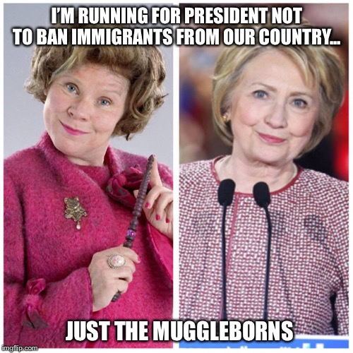 Delores Umbridge Harry Potter | I’M RUNNING FOR PRESIDENT NOT TO BAN IMMIGRANTS FROM OUR COUNTRY... JUST THE MUGGLEBORNS | image tagged in delores umbridge harry potter | made w/ Imgflip meme maker
