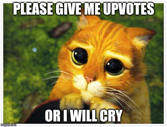 Sorry Kitty | PLEASE GIVE ME UPVOTES; OR I WILL CRY | image tagged in sorry kitty | made w/ Imgflip meme maker