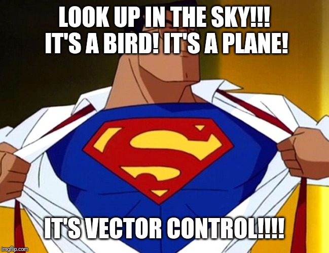 Superman animated | LOOK UP IN THE SKY!!!  IT'S A BIRD! IT'S A PLANE! IT'S VECTOR CONTROL!!!! | image tagged in superman animated | made w/ Imgflip meme maker