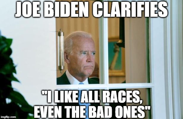 Sad Joe Biden | JOE BIDEN CLARIFIES; "I LIKE ALL RACES, EVEN THE BAD ONES" | image tagged in sad joe biden | made w/ Imgflip meme maker