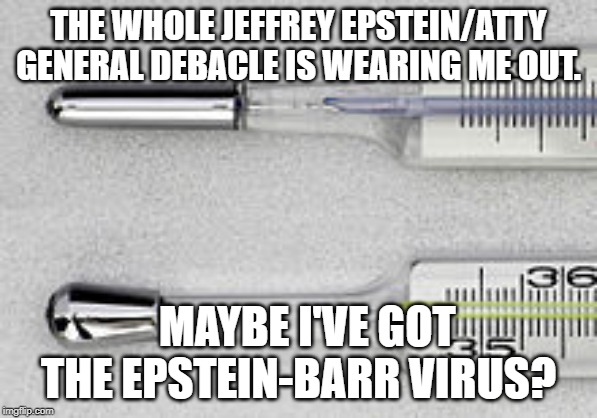Thermometer | THE WHOLE JEFFREY EPSTEIN/ATTY GENERAL DEBACLE IS WEARING ME OUT. MAYBE I'VE GOT THE EPSTEIN-BARR VIRUS? | image tagged in thermometer | made w/ Imgflip meme maker