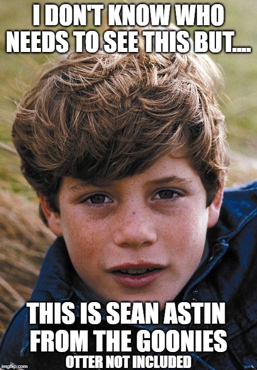 I DON'T KNOW WHO NEEDS TO SEE THIS BUT.... THIS IS SEAN ASTIN 
FROM THE GOONIES; OTTER NOT INCLUDED | image tagged in goonies,stranger things | made w/ Imgflip meme maker