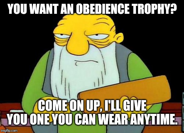 That's a paddlin' Meme | YOU WANT AN OBEDIENCE TROPHY? COME ON UP, I'LL GIVE YOU ONE YOU CAN WEAR ANYTIME. | image tagged in memes,that's a paddlin' | made w/ Imgflip meme maker