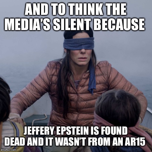 Bird Box | AND TO THINK THE MEDIA’S SILENT BECAUSE; JEFFERY EPSTEIN IS FOUND DEAD AND IT WASN’T FROM AN AR15 | image tagged in memes,bird box | made w/ Imgflip meme maker