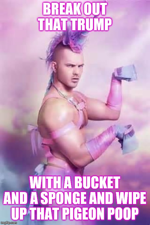 BREAK OUT THAT TRUMP WITH A BUCKET AND A SPONGE AND WIPE UP THAT PIGEON POOP | image tagged in gay unicorn | made w/ Imgflip meme maker