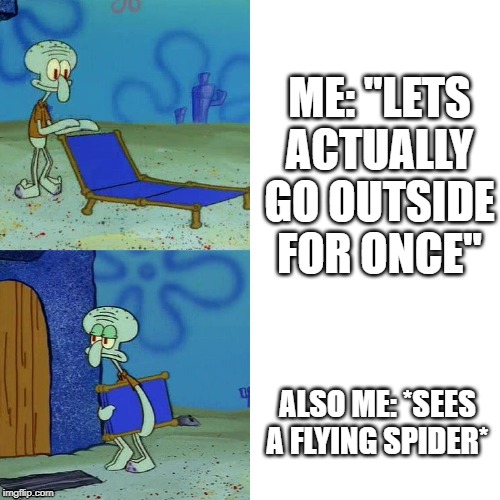 Maybe another day | ME: "LETS
ACTUALLY GO OUTSIDE FOR ONCE"; ALSO ME: *SEES A FLYING SPIDER* | image tagged in spider,squidward,memes,funnymemes | made w/ Imgflip meme maker