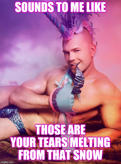 SOUNDS TO ME LIKE THOSE ARE YOUR TEARS MELTING FROM THAT SNOW | image tagged in sexy gay unicorn | made w/ Imgflip meme maker