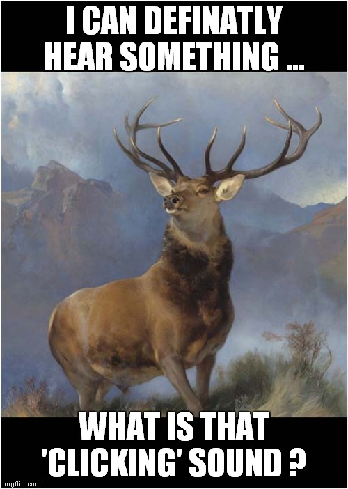 The Last Picture of The Monarch Of The Glen | I CAN DEFINATLY HEAR SOMETHING ... WHAT IS THAT 'CLICKING' SOUND ? | image tagged in fun | made w/ Imgflip meme maker