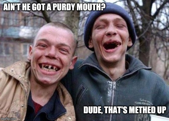 Ugly Twins Meme | AIN'T HE GOT A PURDY MOUTH? DUDE, THAT'S METHED UP | image tagged in memes,ugly twins | made w/ Imgflip meme maker