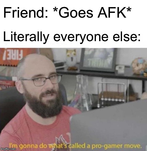 Pro Gamer move | Friend: *Goes AFK*; Literally everyone else: | image tagged in pro gamer move | made w/ Imgflip meme maker