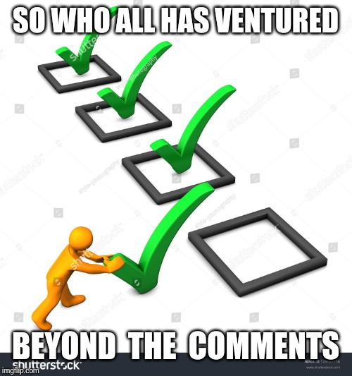 It is more than just a stream | SO WHO ALL HAS VENTURED; BEYOND  THE  COMMENTS | image tagged in checklist,beyondthecomments,palringo,chat | made w/ Imgflip meme maker