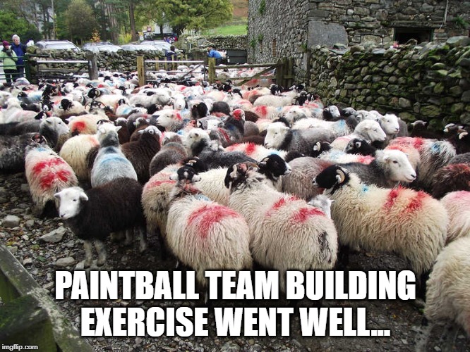 PAINTBALL TEAM BUILDING EXERCISE WENT WELL... | image tagged in paintball | made w/ Imgflip meme maker