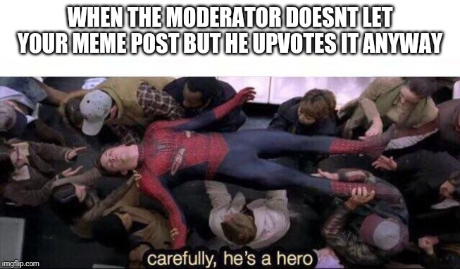 Carefully he's a hero | WHEN THE MODERATOR DOESNT LET YOUR MEME POST BUT HE UPVOTES IT ANYWAY | image tagged in carefully he's a hero | made w/ Imgflip meme maker