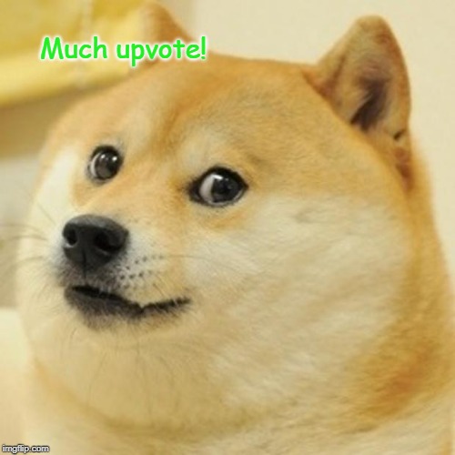 Doge Meme | Much upvote! | image tagged in memes,doge | made w/ Imgflip meme maker