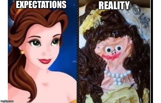When you bake a cake | EXPECTATIONS; REALITY | image tagged in fail,cake,beauty and the beast | made w/ Imgflip meme maker