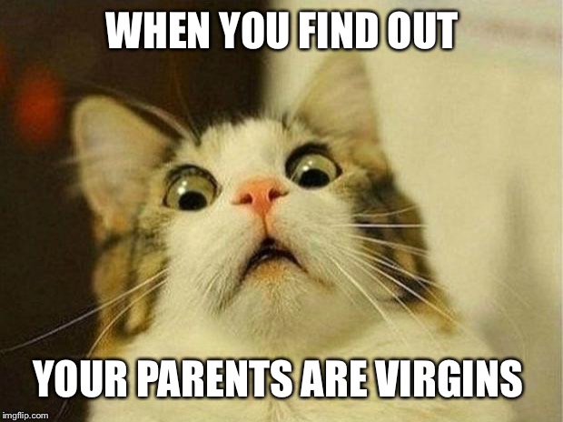 Scared Cat Meme | WHEN YOU FIND OUT; YOUR PARENTS ARE VIRGINS | image tagged in memes,scared cat | made w/ Imgflip meme maker