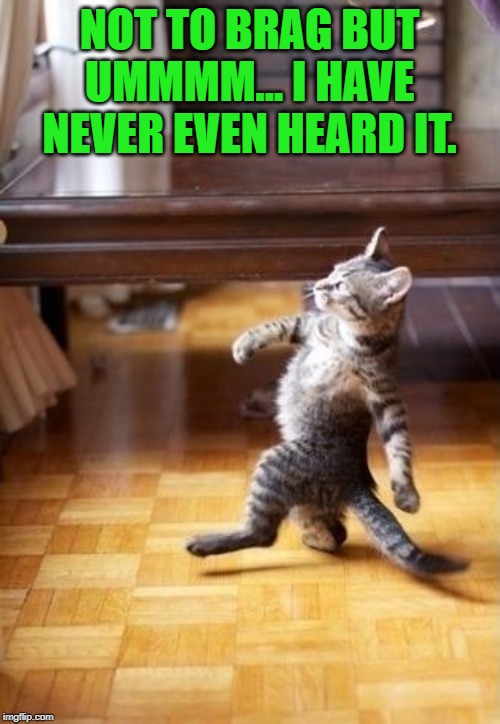 Cool Cat Stroll Meme | NOT TO BRAG BUT UMMMM... I HAVE NEVER EVEN HEARD IT. | image tagged in memes,cool cat stroll | made w/ Imgflip meme maker