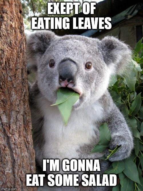Surprised Koala Meme | EXEPT OF EATING LEAVES; I'M GONNA EAT SOME SALAD | image tagged in memes,surprised koala | made w/ Imgflip meme maker